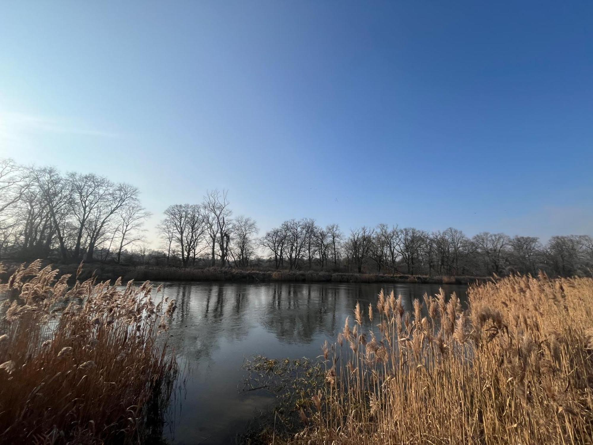 Dworek Biesiadny Radzewice Luaran gambar
